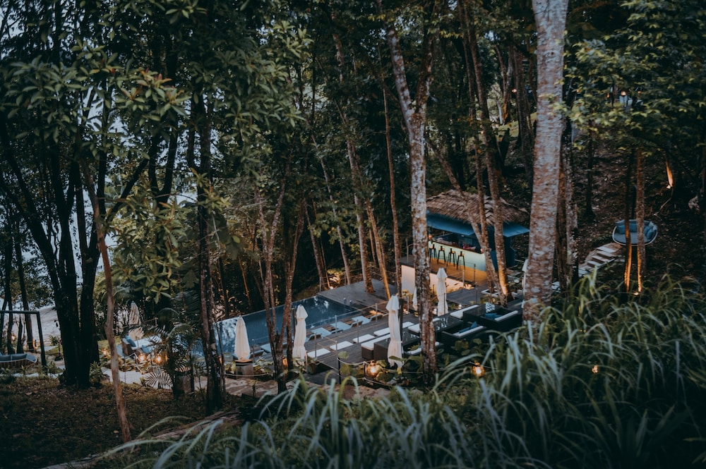 the culvert