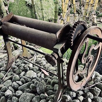 sahom valley resort agro and eco