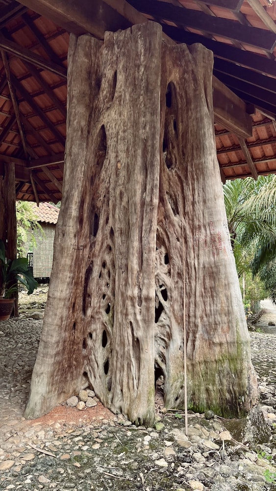 sahom valley resort agro and eco