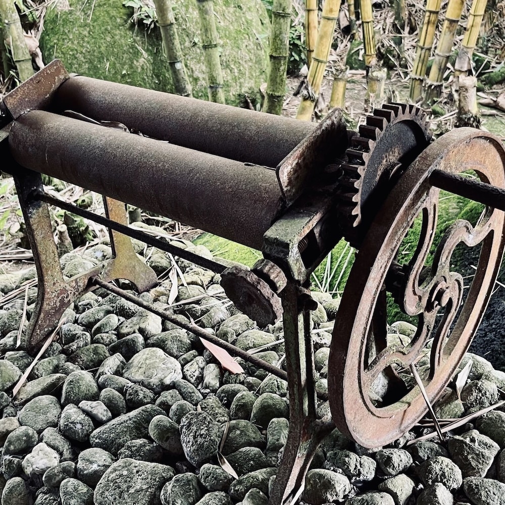 sahom valley resort agro and eco