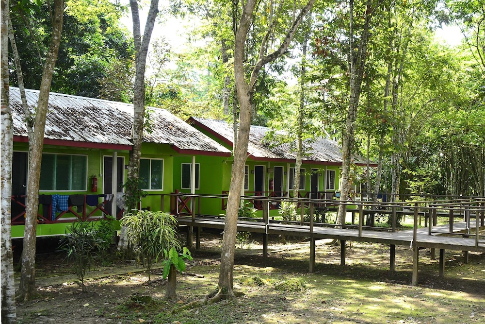 kota kinabatangan