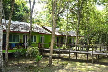 kota kinabatangan