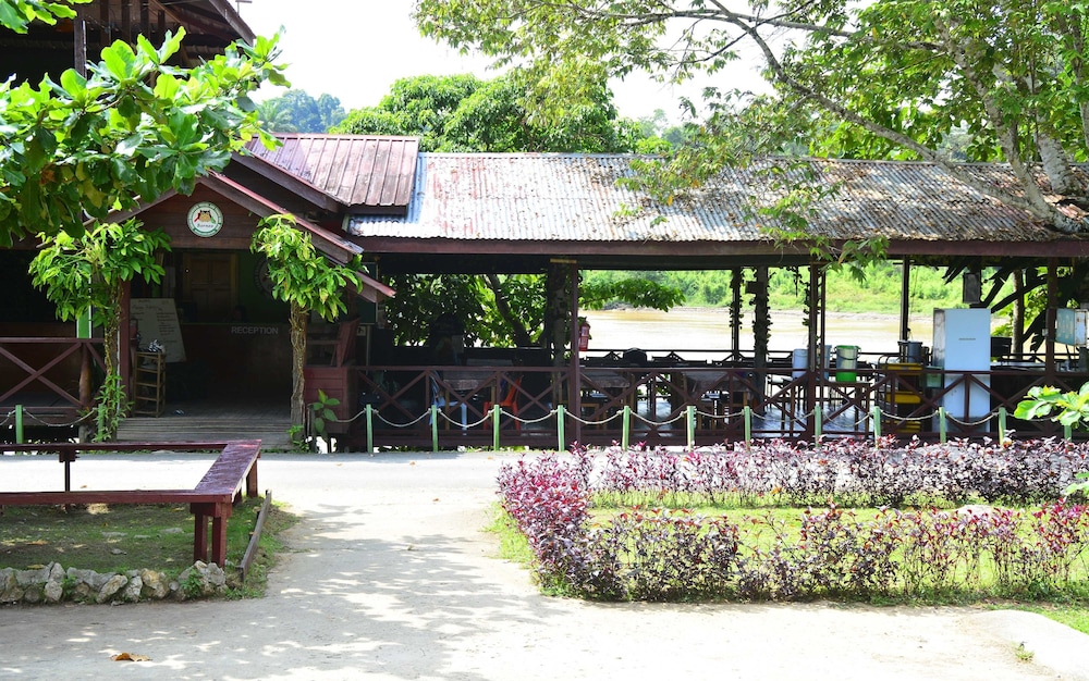 kota kinabatangan