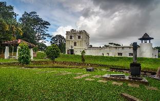 rainforest budget stay