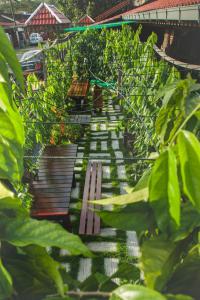 house of my eternal love kulai homestay adults only