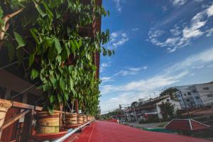 house of my eternal love kulai homestay adults only