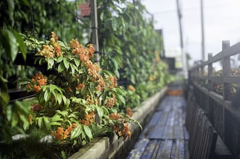 house of my eternal love kulai homestay adults only