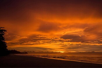 kuala penyu