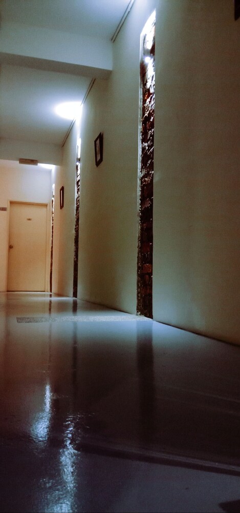 petra lodge and homestay