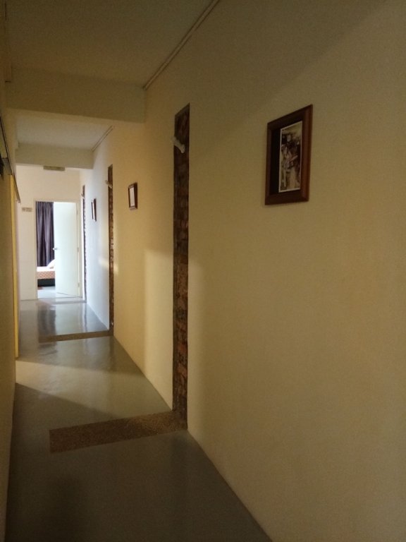 petra lodge and homestay