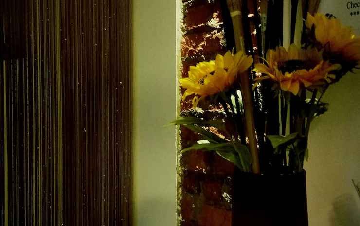 petra lodge and homestay