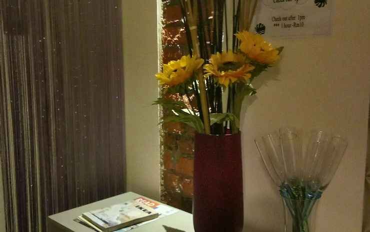 petra lodge and homestay