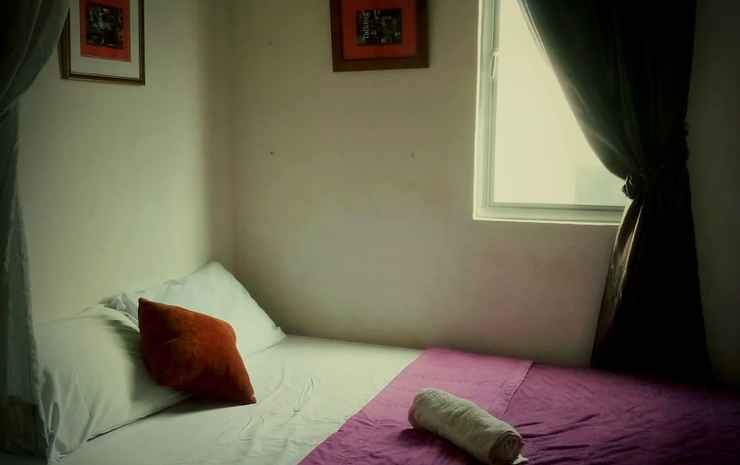 petra lodge and homestay