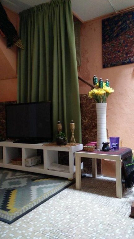 petra lodge and homestay