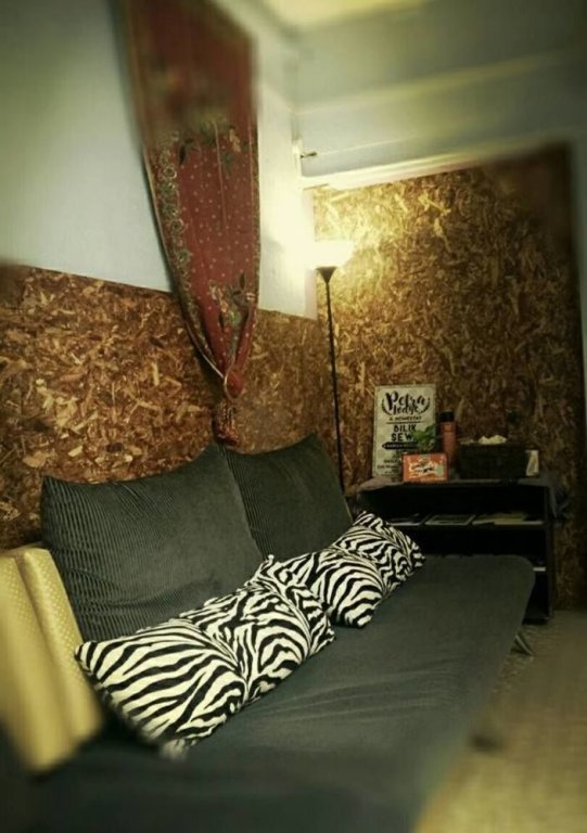 petra lodge and homestay
