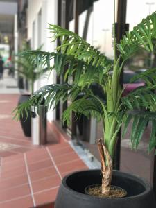 potpourri boutique hotel