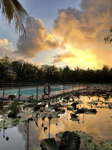 kunang kunang heritage villas