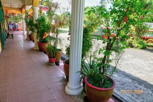 the room concept homestay