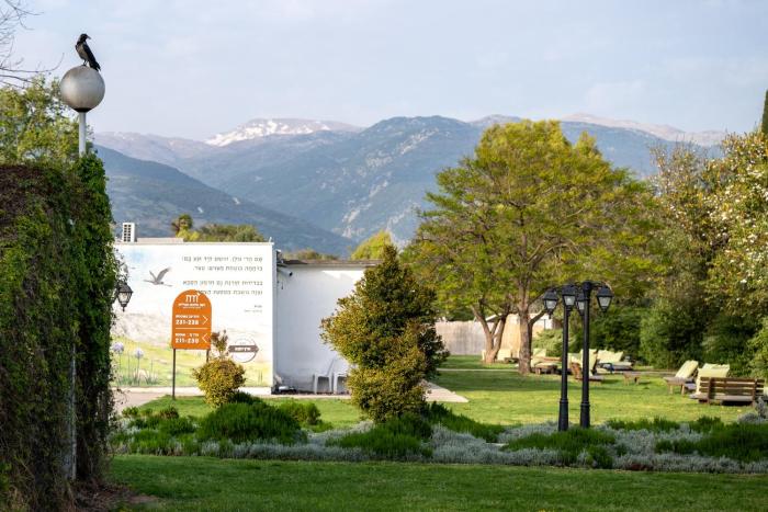 hagalil haelyon