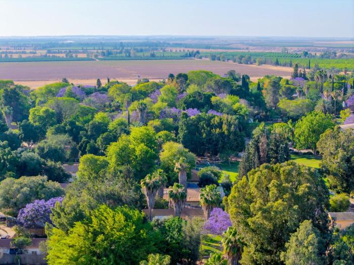 eshkol