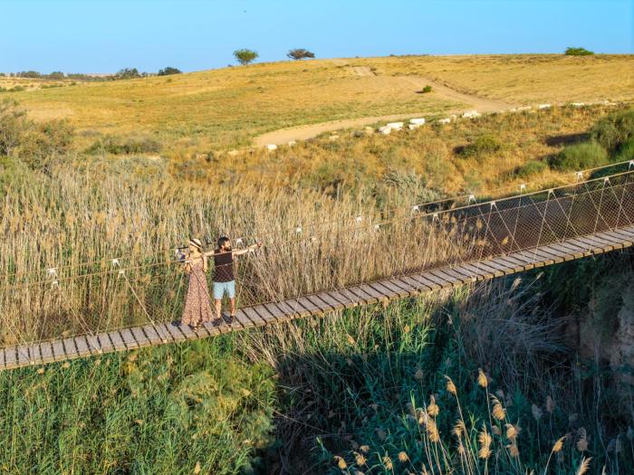 eshkol