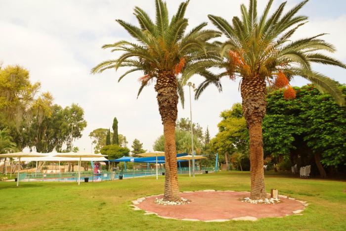 eshkol