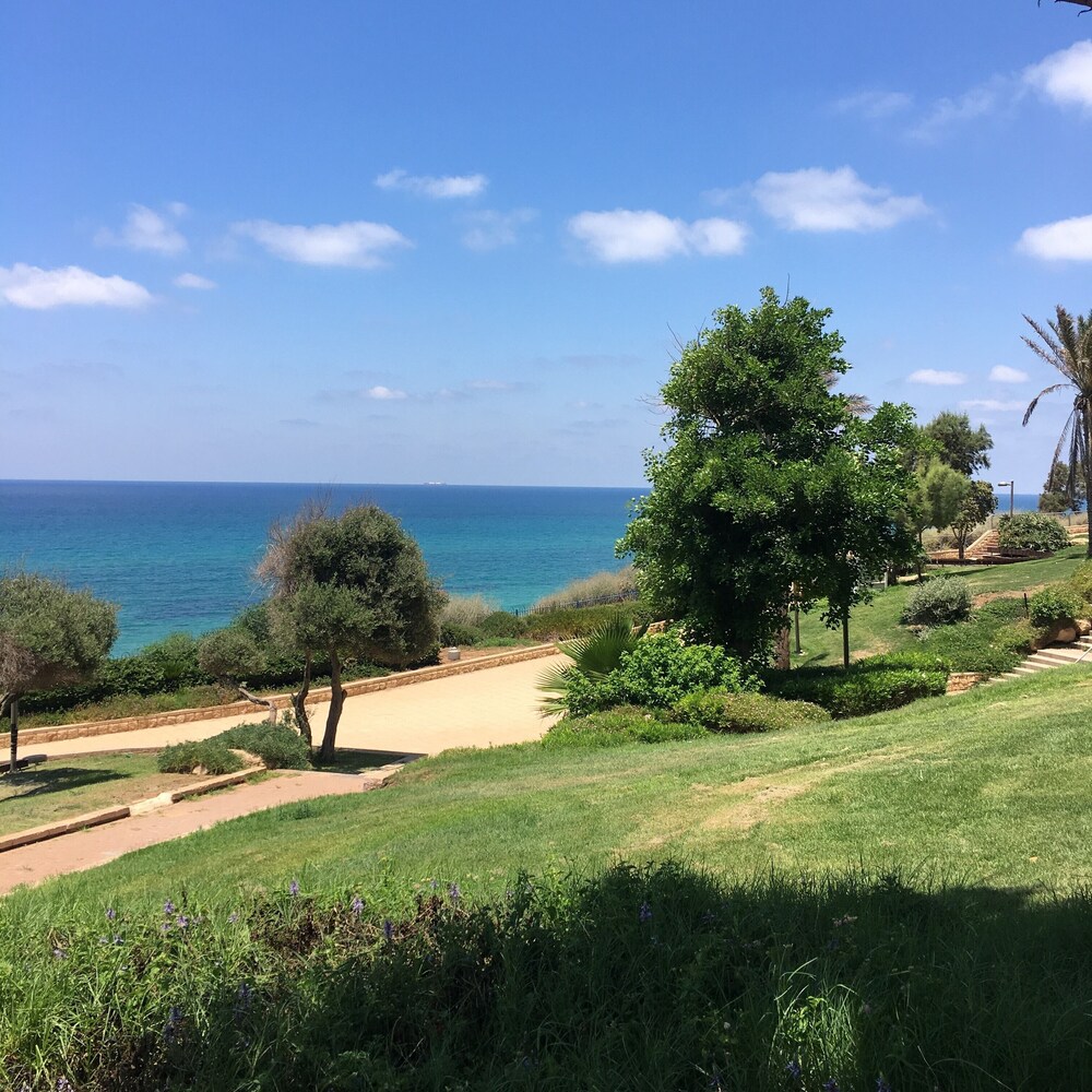 medi terre boutique hotel by saida hotels