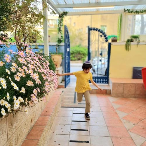 mikes house jerusalem