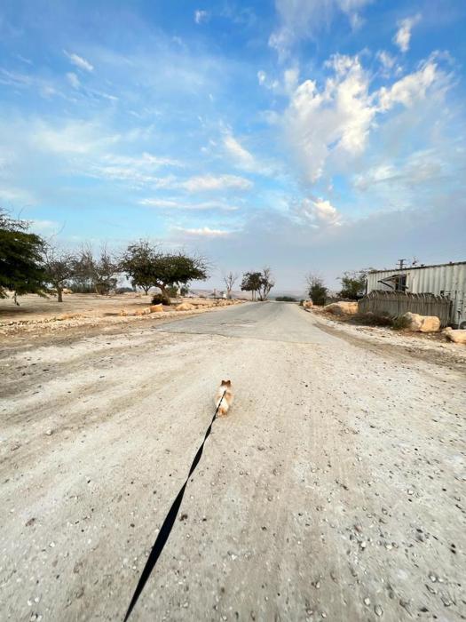 ramat negev