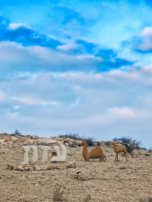 ramat negev