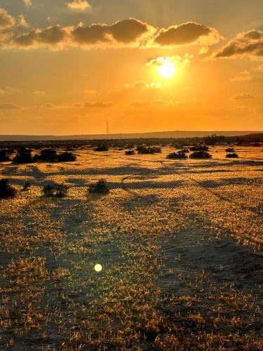 ramat negev