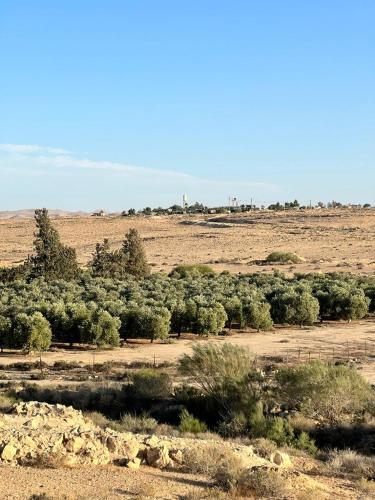 ramat negev