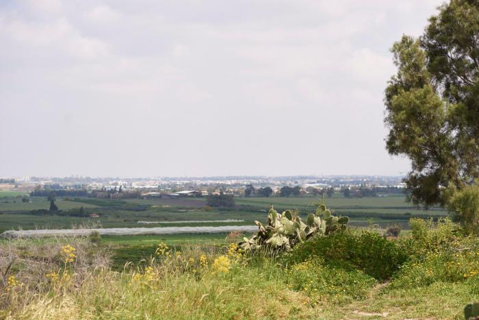 gedera