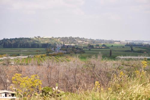 gedera