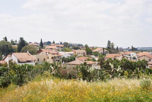 gedera