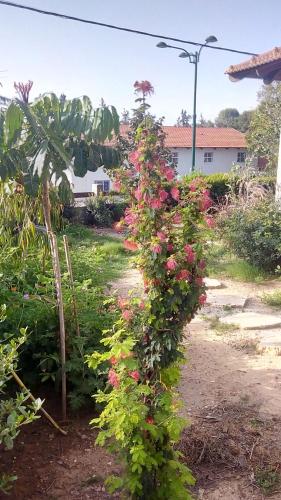 like home