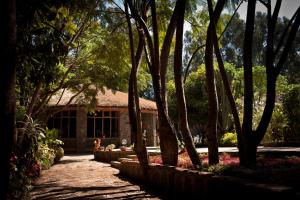 Abay Minch Lodge,West Gojam>>Bahir Dar,4 star