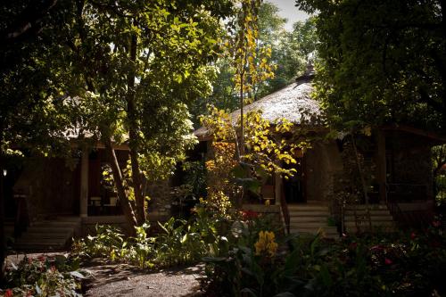abay minch lodge
