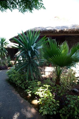 abay minch lodge