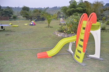 gamboma
