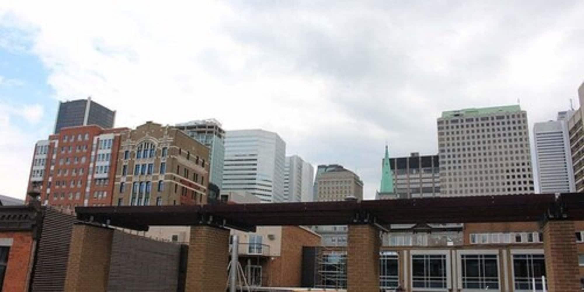 apartment and studio