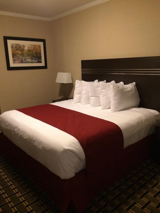 Super 8 By Wyndham Watrous,Watrous>>Saskatoon,2 star