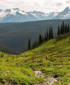 revelstoke