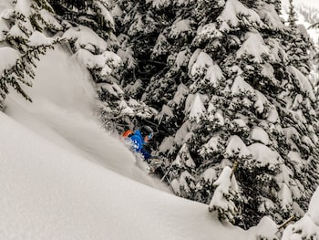 revelstoke