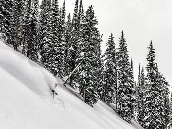 revelstoke