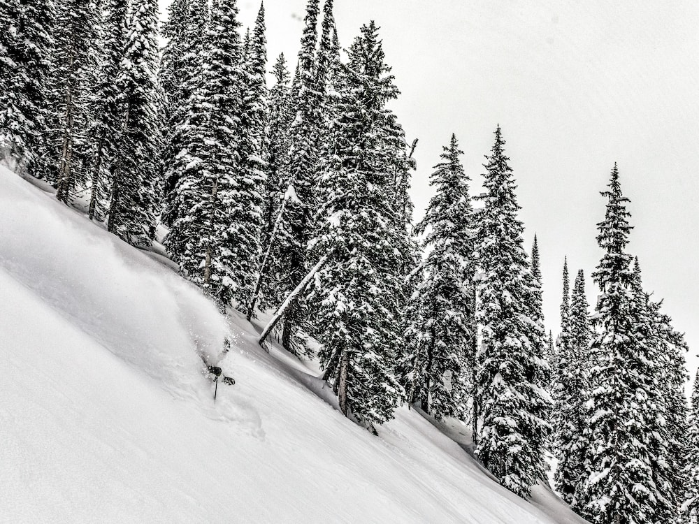 eleven revelstoke lodge