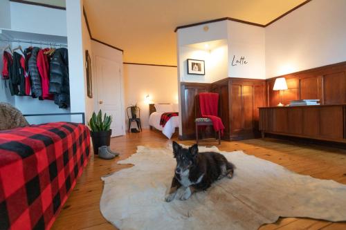 saint ferreol les neiges