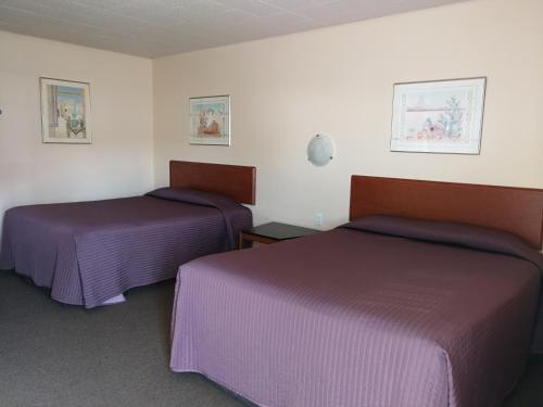 star motel