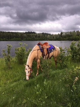 bridge lake