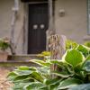 owls nest suites